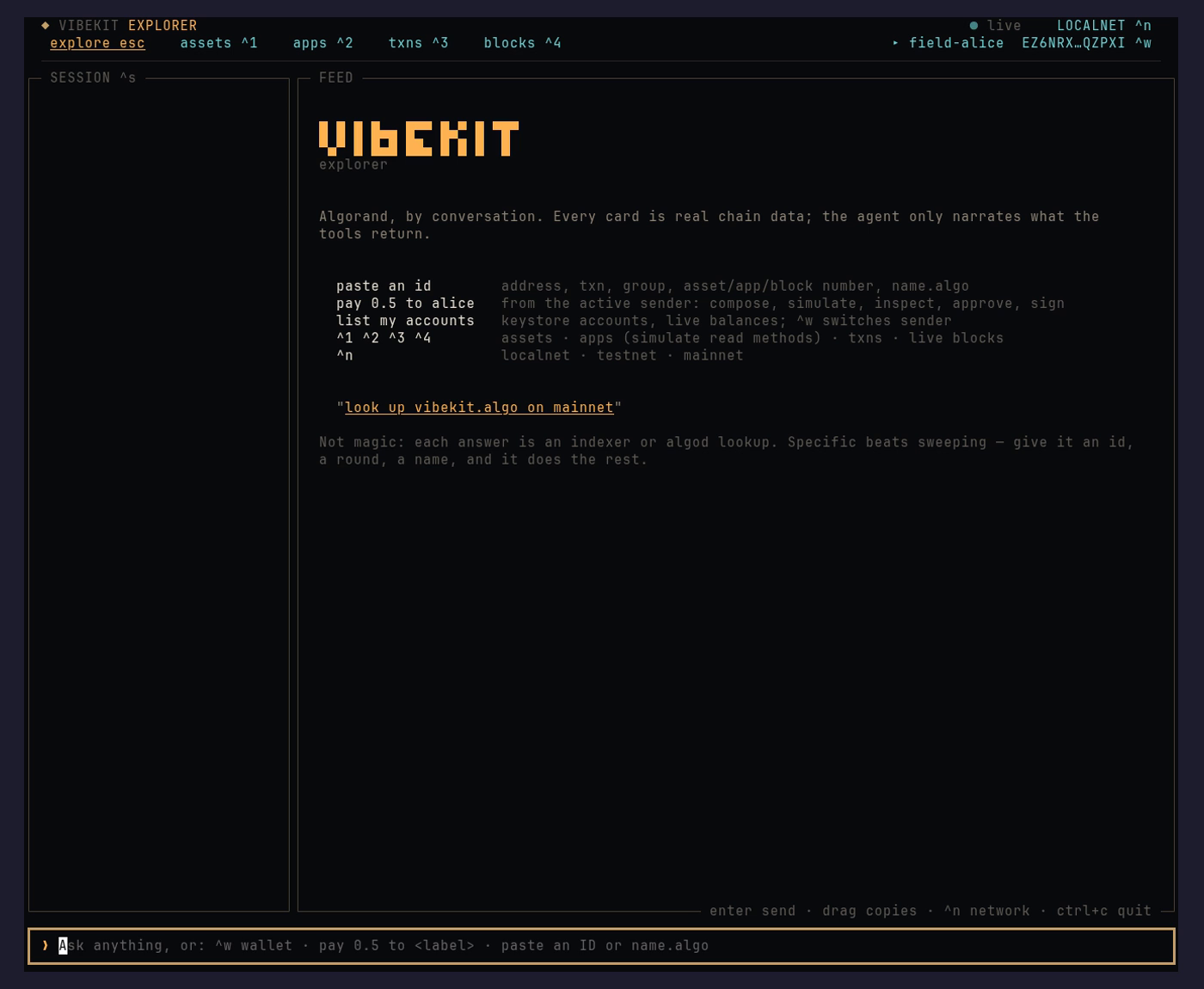 The VibeKit Explorer welcome screen, with its direct-lookup and action shortcuts.